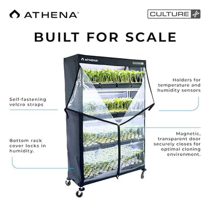 Athena Culture VPDome Indoor Greenhouse for Plant Propagation | TC-VPD