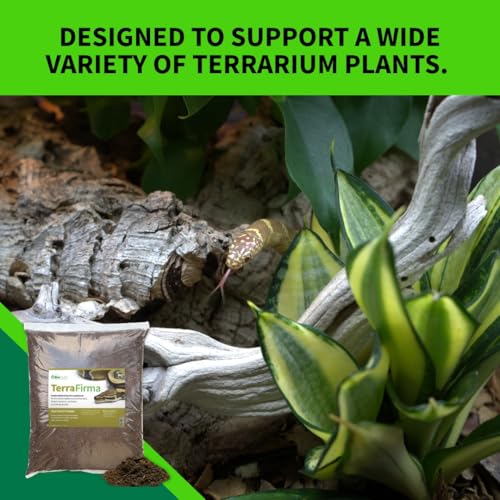 The Bio Dude Terra Firma Bioactive Reptile Substrate 6 quarts for terrariums and vivariums. Bioactive Habitat Substrate for Ball Pythons, Fat Tail Geckos, Milk Snakes, King Snakes and Monitors