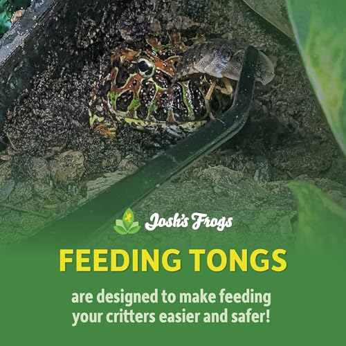 Josh's Frogs Stainless Steel Curved Reptile Feeding Tongs (12 inch)