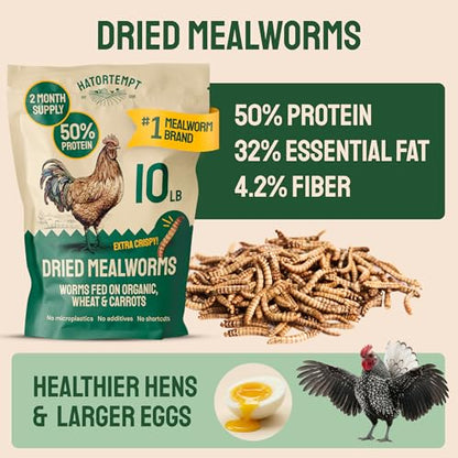 Hatortempt 10lb Dried Mealworms for Chickens & Wild Birds, Chicken Feed | High-Protein Chicken Food - Meal Worms Fed an Organic Diet - Hand Inspected Treats for Laying Hens & Ducks - 2 Yr Shelf Life - size: 10 Pound (Pack of 1)
