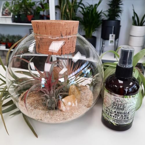 Cute Farms Tillandsia Air Plant Fertilizer | Gentle Weekly Use Formula Plant Food | Formulated Nutrients for Air Plants (4 oz. Spray Bottle) - size: 4 oz. Spray Bottle