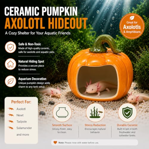 Ceramic Axolotl Hide Cave Hideout Tank Accessories Aquarium Decor for Pets | Hollow shaded resting spot、Weighted base, stays put、Fade-resistant glaze finish - size: Middle