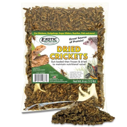 1/2 Pound Dried Crickets - High Protein Insect Treat - Chickens, Wild Birds, Hedgehogs, Bluebirds, Reptiles, Sugar Gliders, Opossums, Skunks, Lizards, Bearded Dragons, Fish, Turtles 8 oz. (1 Pack)