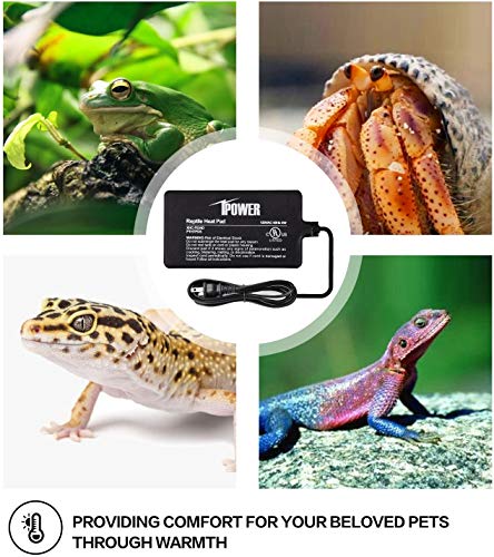 iPower 4"x7" Reptile Heat Mat Under Tank Terrarium Heater Warmer Heating Pad, Digital Thermometer and Hygrometer with Temperature and Humidity Probe for Amphibian Pet and Small Animals - size: 4 X 7 Inch, style: Pad + Thermo & Hygrometer