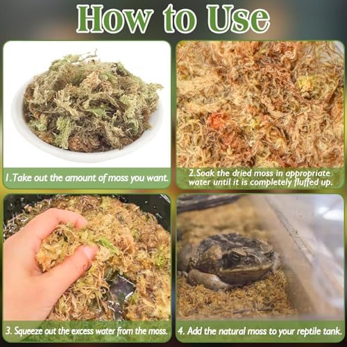 Sphagnum Moss for Reptiles, 3.5 oz Natural Terrarium Bedding Substrate | Long-fibered Sphagnum Moss for Reptile, Holds Humidity for Bearded Dragons, Geckos, Snakes, Turtles, and Hermit Crabs - size: 3.5oz