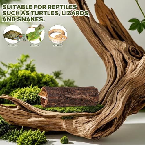 Homoyoyo Natural Wood Reptile Hide Cave Log, Tree Bark Terrarium Hideout for Gecko Snake Lizard Tortoise Spider and Hermit Crab – Rainforest Climbing Pets Habitat Decor Shelter 7. 86x3. 14x3. 14in