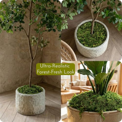 7OZ Moss for Plants Indoor, Natural Looking Faux Grass for Crafts, Terrariums, Fairy Gardens, Floral Arrangements - Artificial Spanish Moss Alternative for Home Decor (200g) (Fresh Green)