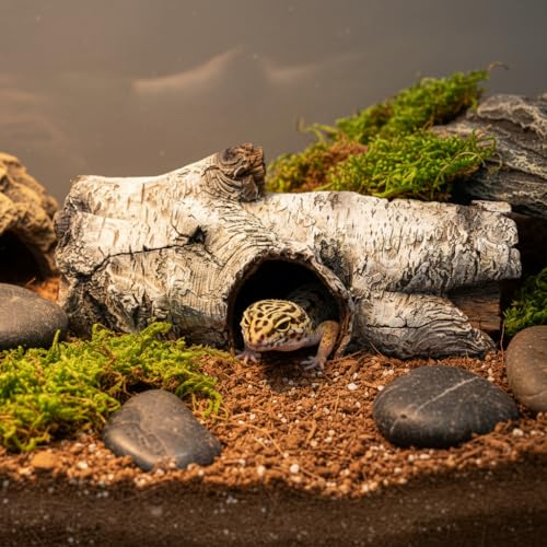 JIHAQUA Aquarium Resin Bark Terrarium Decor, Lizard, Snake or Reptile Hide | Lizard, Spider and Aquarium Fish Hide Cave (Medium Bark A)