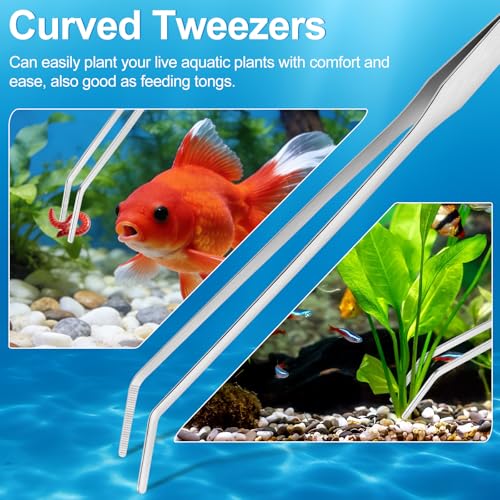 Oligei Terrarium Supplies 3 PCS, Stainless Steel Aquarium Supplies Set, Include Long Aquarium Tweezers, Curved Tweezers, Algae Scraper for Fish Tank Cleaning Plant Trimming