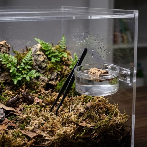 Jumping Spider Feeding Dish Set, Jumping Spider Enclosure Accessories Reptile Feeding Tongs, Magnetic Water Bowl with Dropper & Tweezer for jumpingSpider, Tarantula&Other Small Pets