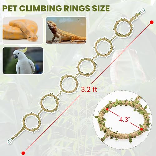Snake Climbing Rings for Ball Python & Corn Snake, Reptile Toys | Enrichment Pet Toys & Tank Cage Decor, Habitat Accessories for Terrarium, Bearded Dragon, Chameleon, Lizard & Parrot