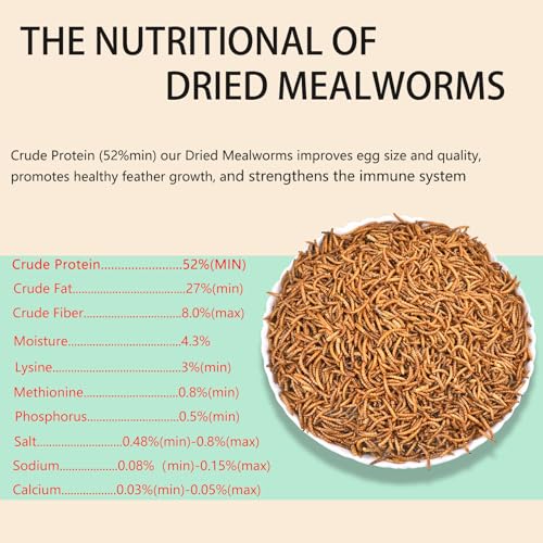 Dried Mealworms 2LB-High Protein Chicken Feed,More Protein,No Additives,Premium Organic Non-GMO,Rich in Protein Meal Worms for Chickens,Wild Birds,Laying Hens,Turkeys-Nutrient-Rich Mealworms - size: 2 Pound (Pack of 1)