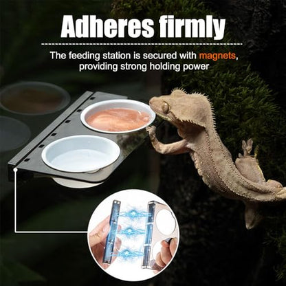 Magnetic Gecko Ledge, Reptile Feeder Ledge with 1 Feeding Cup, Reptile Food & Water Bowl for Arboreal Reptiles, Tree Frogs, Geckos, Beetles, Chameleons - color: Single Bowl