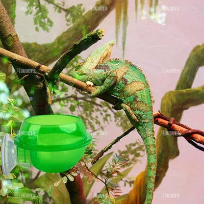 AUEAR, 2 Pack Reptiles Suction Cup Feeder Chameleon Feeding Food Cricket Bowl Water Dish Gecko Ledge Supplies Accessories for Lizard Bearded Dragon