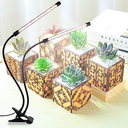 LED Grow Light,6000K Full Spectrum Clip Plant Growing Lamp with White Red LEDs for Indoor Plants,5-Level Dimmable,Auto On Off Timing 4 8 12Hrs | Desk Lamp with White Red LEDs for Indoor Plants,Clamp with Flexible Gooseneck,5-Level Dimmable,Auto Timer 4 8