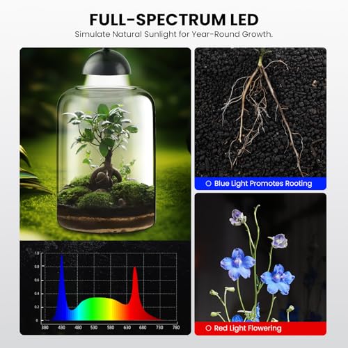 Glass Plant Terrarium, LED Grow Light, Adjustable Ventilation | 8.2" borosilicate body, US plug adapter and guide, for Venus fly traps, moss and succulents, plants and soil not included