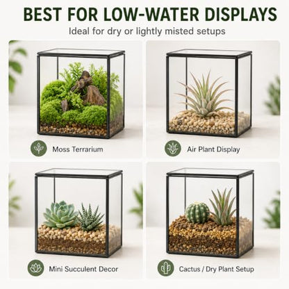 Small Square Glass Terrarium with Lid, 4.3 Inch Clear Glass Planter Box for Moss, Succulents & Air Plants, Mini Fairy Garden Display Case, Black Metal Frame, Indoor Tabletop Plant Decor - size: Small Square