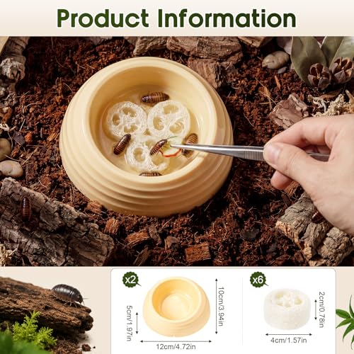 2pcs Extra Large Dubia Roach Water Dish with 6pcs Luffa Inserts Water Bowl for Dubia Roach Container Springtails Cricket Setups Ideal Accessory for Insect Rearing