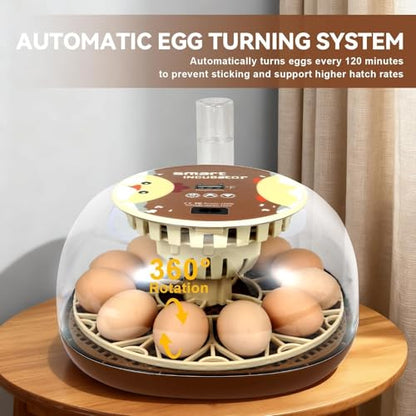 Series I-Automatic 12-Egg Incubator for Beginners, Auto Egg Turn, Steady Self-Regulating Humidity & Consistent Temperature Control for Hatching Chicken, Goose, Duck, Quail, Pigeon(12-Egg-Brown) - size: 12-Egg-Brown