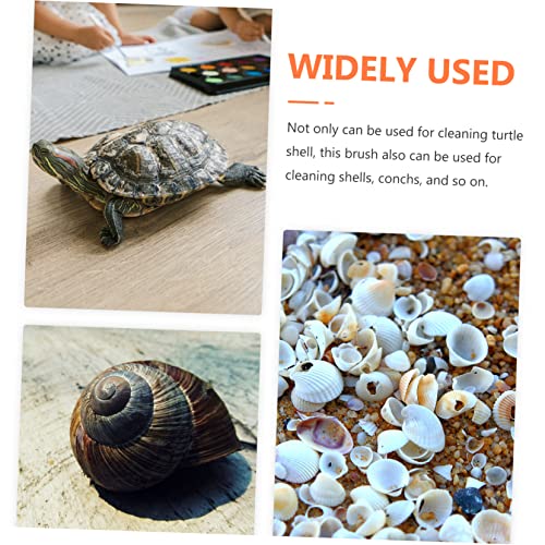 Abaodam Turtle Shell Cleaning Brush Aquatic Tortoise Shell Scrubber Brush Reptile Tank Cleaning Tool for Turtle Aquarium