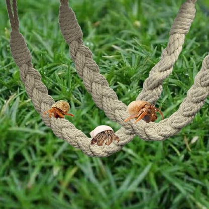2 Pcs Hermit Crab Sturdy Twine Ladder, Hermit Crab Vine Climbing Toys, Reptile Tank Terrarium Accessories for Hermit Crab Geckos Snakes Lizards Geckos Tree Frogs