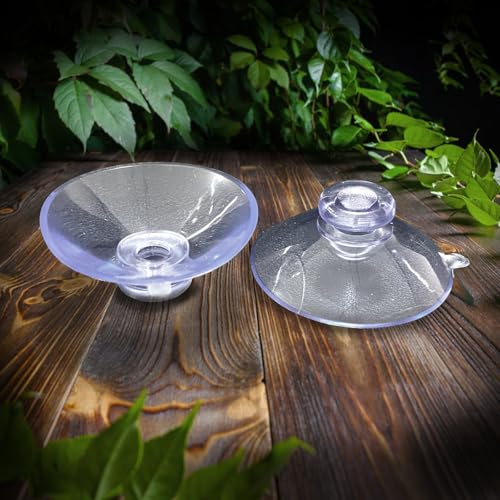 Bearded Dragon Feeder, Transparent Acrylic Reptile Feeding Box, Chameleon Bug Bowl, Wall-Mounted Insect Bowl with Suction Cups, Tank and Aquarium Accessories for Lizard Gecko Frog