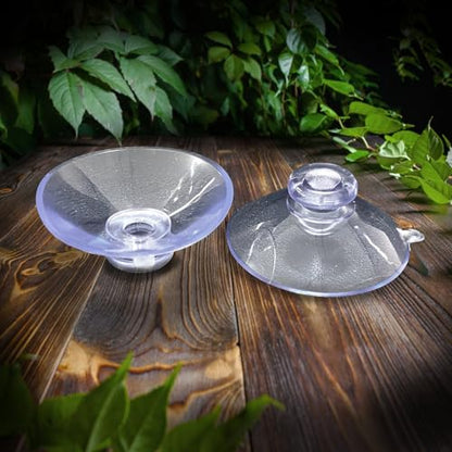 Bearded Dragon Feeder, Transparent Acrylic Reptile Feeding Box, Chameleon Bug Bowl, Wall-Mounted Insect Bowl with Suction Cups, Tank and Aquarium Accessories for Lizard Gecko Frog