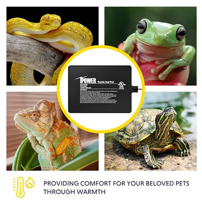 iPower Reptile Heat Pad 6X8 Inch 8W Under Tank Terrarium Warmer Heating Mat for Turtle, Lizard, Frog, Snake, Reptile, and Other Small Animals - size: 6 X 8 Inch, style: Heat Pad