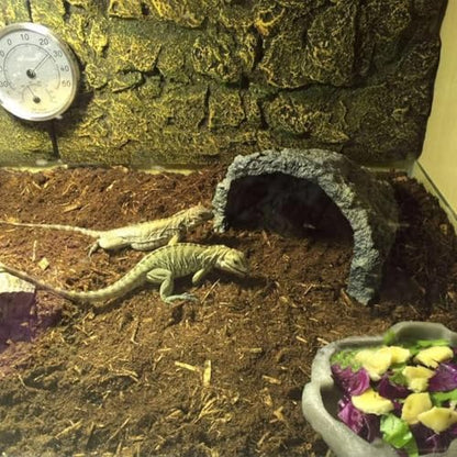 BNOSDM Reptile Soil Substrate Fluffy Small-Strand Reptile Substrate and Snake Bedding Clean Natural Terrarium Bedding for Lizards Snakes Tortoises Tarantulas - color: 1.32gal