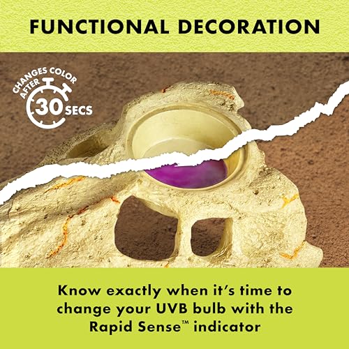 Zilla Rapid Sense UV Detecting Pet Reptile Terrarium Décor, Detects UVB Levels, Crocodile Skull, Large - size: Large