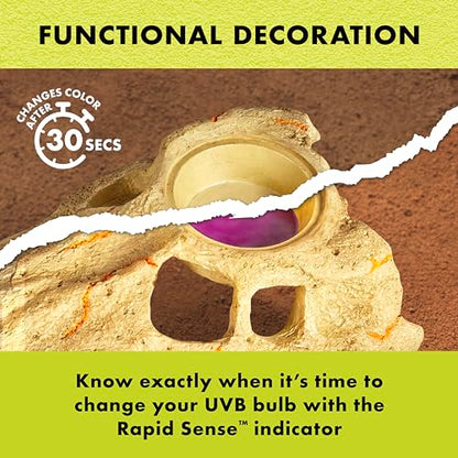 Zilla Rapid Sense UV Detecting Pet Reptile Terrarium Décor, Detects UVB Levels, Crocodile Skull, Large - size: Large