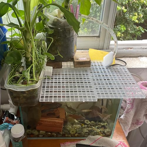 8PCS Fish Tank Dividers Lid, Aquarium Grid Bottom Isolation Tray Board, Plastic Egg Crate - color: Clear, size: 8PCS