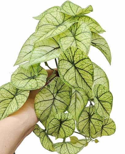 Reptile Plants for Terrarium,Habitat Decor, Hanging Plant with Suction Cup | Crested Gecko Tank plant,Fake Plant for ball python leopard gecko snake enclosure,Artificial Plants -2 Packs(Green Arrowhead) - color: Green Arrowhead