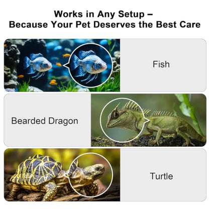 2K AI Reptile & Aquarium Camera with Wide-Angle Lens | 2.4G&5GHz WiFi, 24/7 Recording, Anti-Glare & No Reflection for Fish Tank Terrarium Lizard Snake Pet