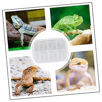 DOITOOL Practical Compartment Reptile Egg Incubator Box for Lizard and Gecko Hatching Transparent Design Lightweight and Durable for Pet Breeding and Scientific Research - color: White