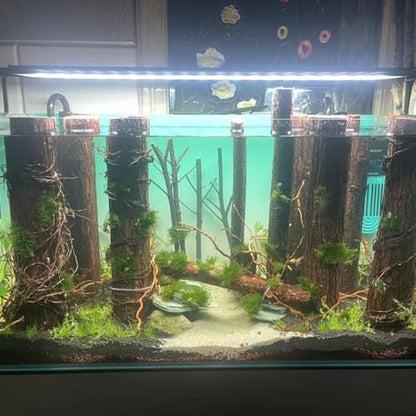 YZHZOM 160g Aquarium Driftwood Roots - Bushy Tank Wood for aquascaping -Perfect for Fry, Shrimp or Terrarium,Natural Wood Roots for Aquarium aquascaping