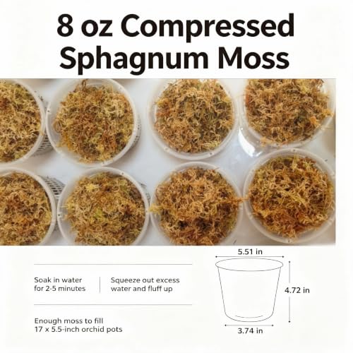 8OZ Compressed Dry Long Fiber Sphagnum Moss, Orchid Moss for Phalaenopsis, Carnivorous Plants & Reptile Terrariums