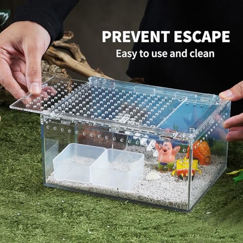 Reptile PC Terrarium 8" x 6" x 4", Tarantula Enclosure,Spider Tank Starter Kit, Hermit Crab Habitat,Lizard Enclosure,Insect Housing,Jumping Spider Cage (Small) - size: 8" x 6" x 4"