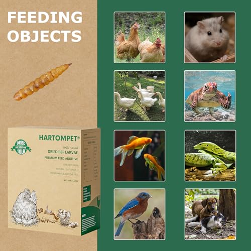 Premium Dried BSF Larvae for Chickens - 2LB High Calcium Supplement, Molting and Laying Support, Non-GMO & High-Protein Treats, Food for Wild Birds, Ducks, Repitle | Top Grade BSF - size: 10 Pound (Pack of 1)