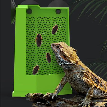 Wall Mounted Reptiles Feeding Station Corner Feeder Box With Suction Cup Attachment For Terrariums Reptiles Supply