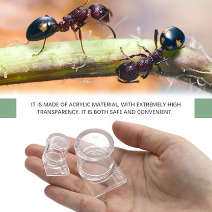 2pcs Mini Ant Water Feeder - Transparent Liquid Feeding Bowls for Ant Farms Small Reptiles Ideal Insect Drinking Tools