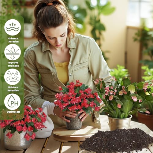 Doter Christmas Cactus Potting Soil Mix 2qt, Ideal for Succulents, Christmas Cacti, and Other Indoor Potted Plantings - size: 2qt