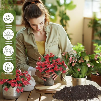 Doter Christmas Cactus Potting Soil Mix 4qt, Ideal for Succulents, Christmas Cacti, and Other Indoor Potted Plantings - size: 4qt