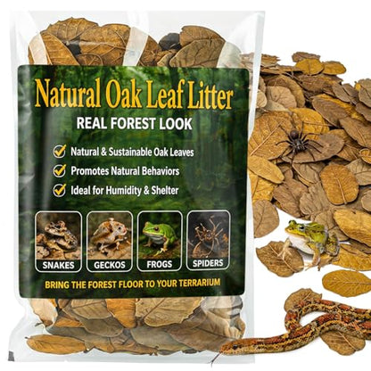 MAQIHAN 5oz Oak Leaf Litter - Dry Substrate for Reptiles Isopod & Bioactive | Whole Natural Oak Leaves for Terrarium, Forest Floor Habitat, Premium Enclosure Bedding for Snake, Frog, Gecko, Lizard - size: 5 OZ