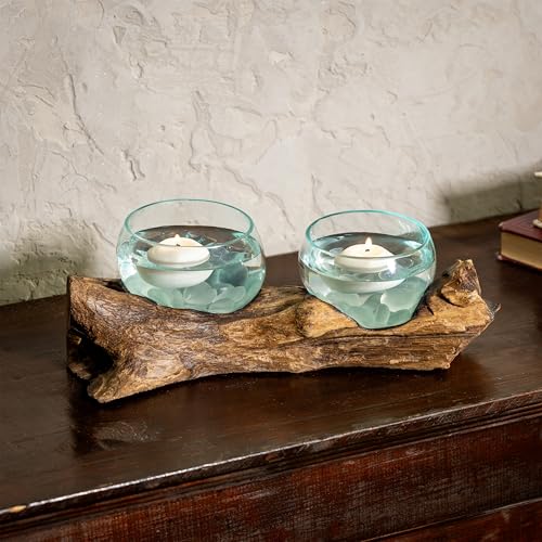 Cape Craftsmen Set of 2 Terrariums | Hand-Blown Blue Tinted Bubble Glass On Natural Teak Driftwood Terrarium | Home Décor Indoor Planter with Stand | Pot for Succulent and Plants - size: Set of 2 (With Stand)