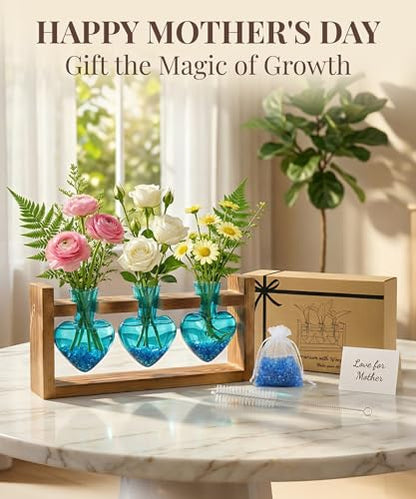 Nacome Plant Terrarium with Wooden Stand, 3 Heart Bulb Glass Vases | Wooden Stand Tabletop for Air Planter, Gifts for Mom Plant Lovers Mom Women Wife Grandma - color: Blue