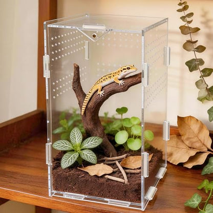 Portable Acrylic Jumping Spider Terrarium with Magnetic Lock 5.9x5.9x9.8 | Ventilated design; secure magnetic lock closure. Designed for small reptiles & insects. Lightweight for travel and display - size: 5.9×5.9×9.8 Inch