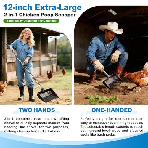 12-Inch 2-in-1 Chicken Poop Scooper & Rake, Chicken Coop Scoop with Adjustable Stainless Steel Handle （24–64"）, 3 Angles & 2 Sifting Holes, Litter Scoop Sand Sifting Shovel Pooper Scooper (Black) - color: Black