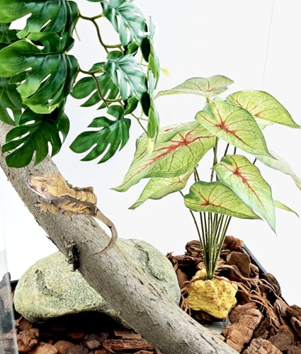 Woyrise Reptile Artificial Plants for Terrarium Decor, Amphibian Habitat Decorations Bearded Dragon Tank Accessories fit Crested Gecko Leopard Lizard Chameleon Ball Python Snake Frog - Fake Caladium - color: A-caladium