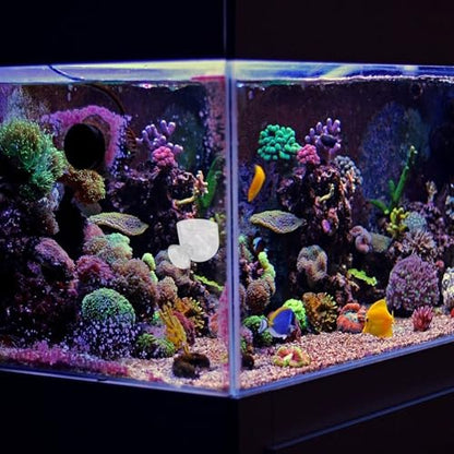 GANAZONO 2pcs Aquarium Fish Food Cup Set with Floating Acrylic Feeder Rings, Fish Feeding Device for Tank, Suitable for Frozen Bloodworms and Brine Shrimp Feeding in Home Aquariums